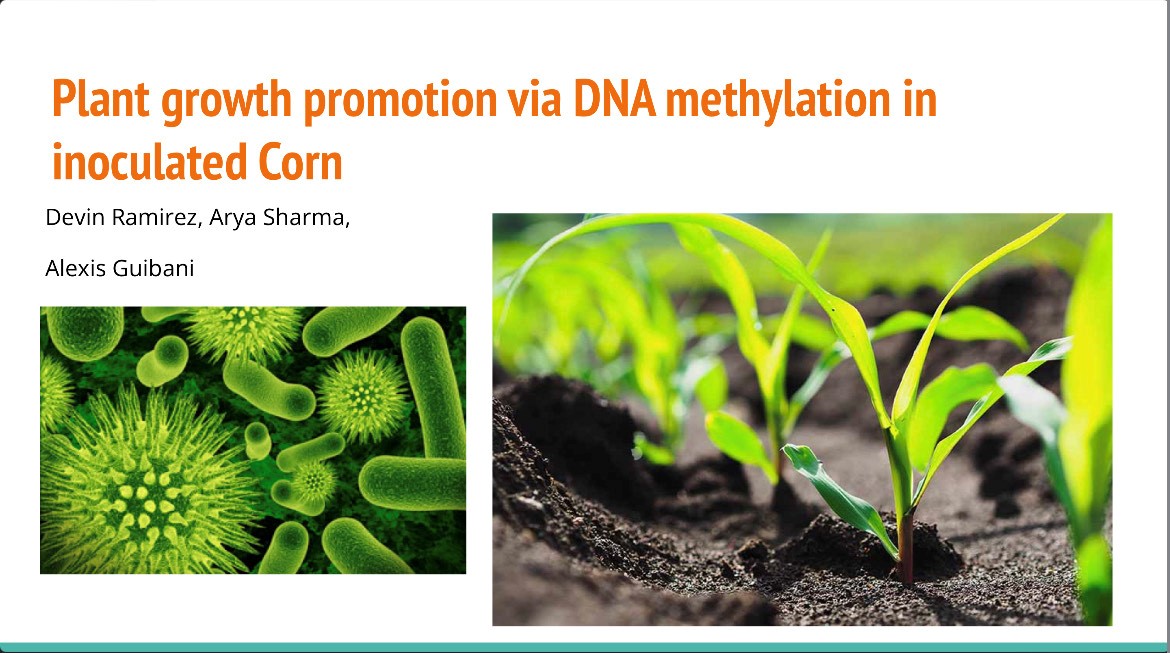 bio plant growth poster